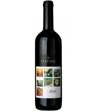 Pfneiszl Biobirtok Soproni Merlot